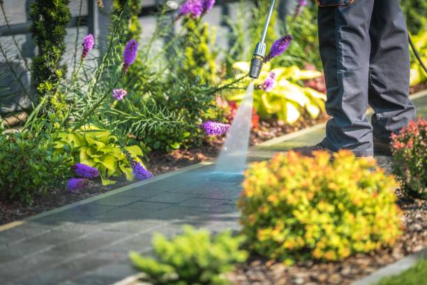 Best Roof Cleaning and Mildew Removal in Zephyrhills West, FL
